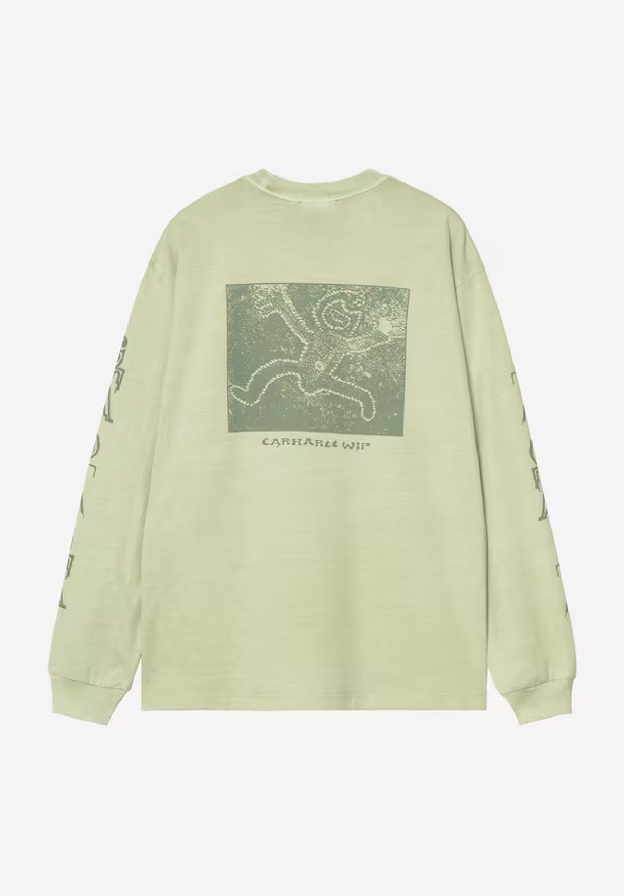 Terrestrial paleolive-dollargreenpigmentgarmentdyed Vorderansicht