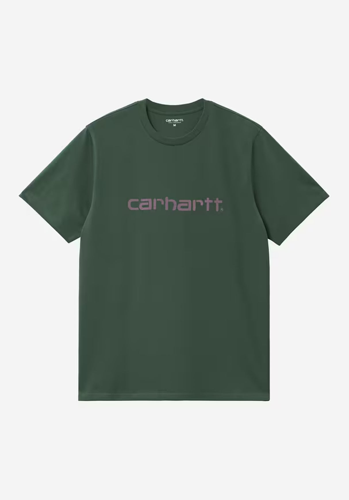 Script sycamoretree-phlox Vorderansicht