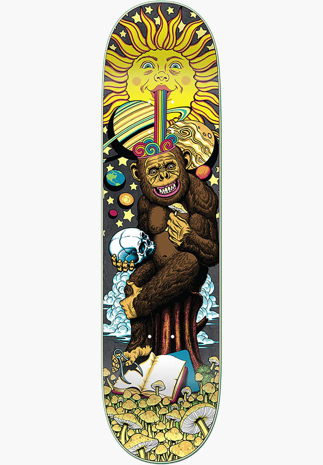 Chimp multicolored Vorderansicht