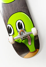 Turtle Sym multicolored Closeup1