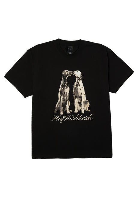 Dogged black Vorderansicht