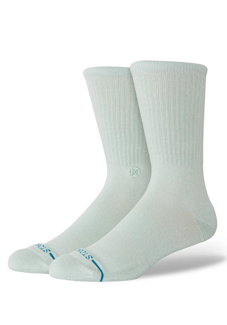 Icon paleblue Vorderansicht