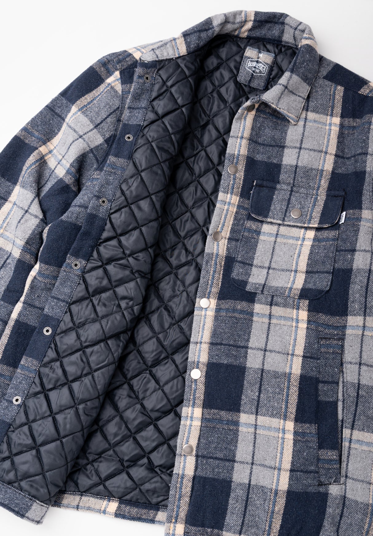 Thage blue-checked Closeup2