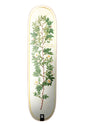 McClung Bloom white-gold Vorderansicht