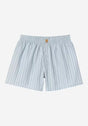 Cotton Boxer grimsbystripe-bluefog Vorderansicht