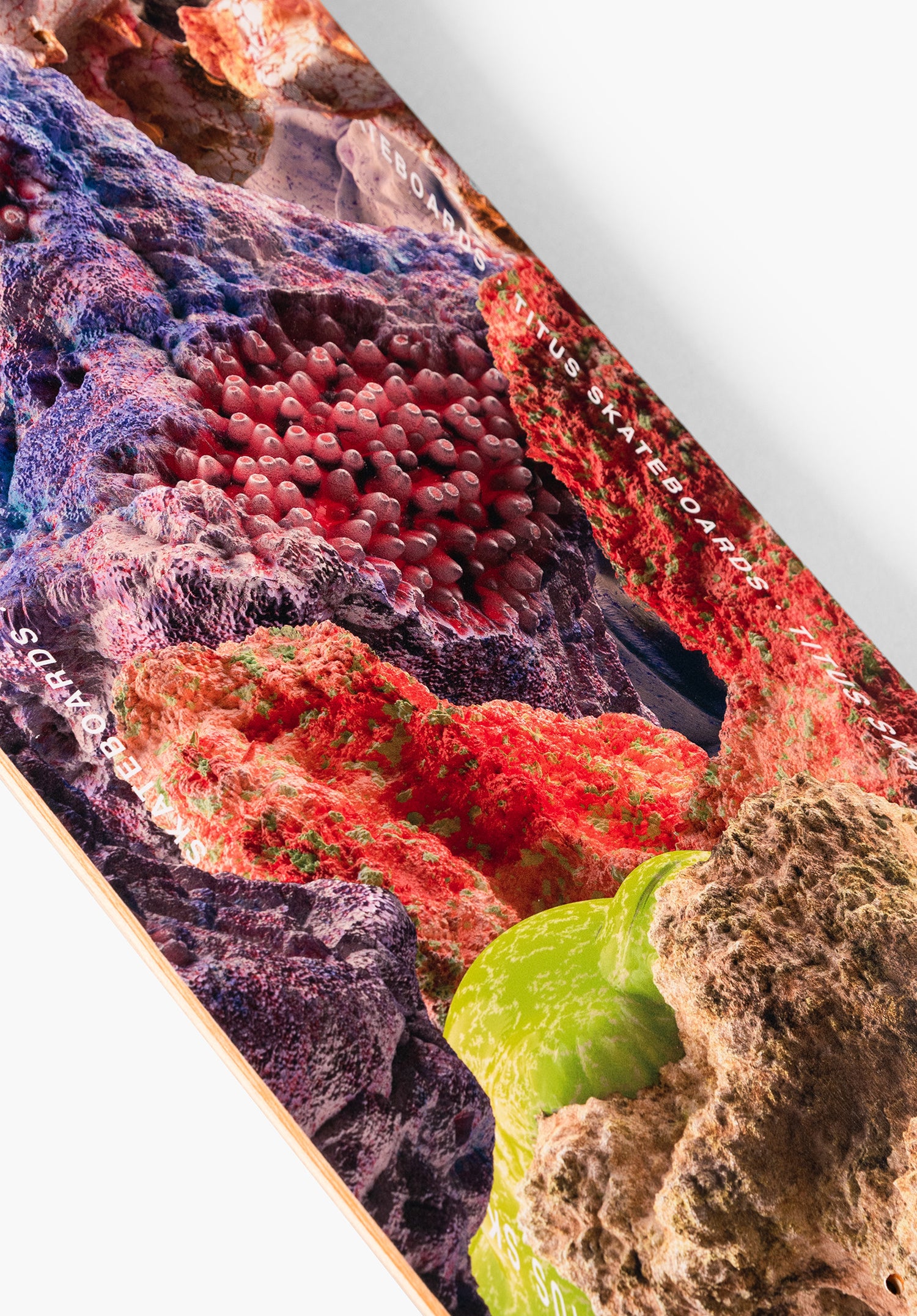 Annual multicolored Oberansicht Zoom Image