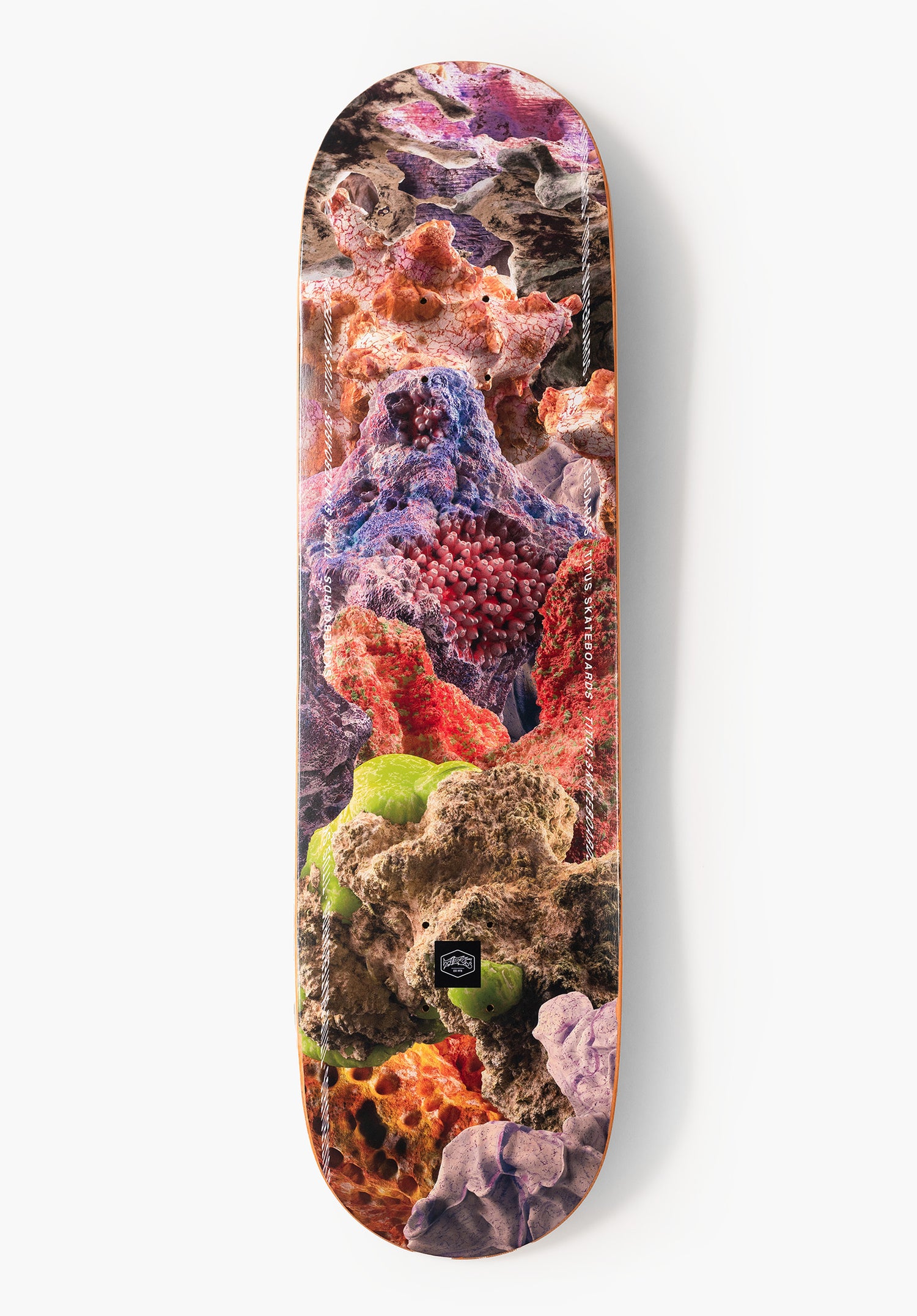 Annual multicolored Vorderansicht Zoom Image