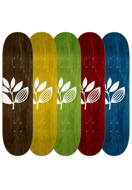 Big Plant Team Wood assorted Vorderansicht