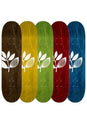 Big Plant Team Wood assorted Vorderansicht