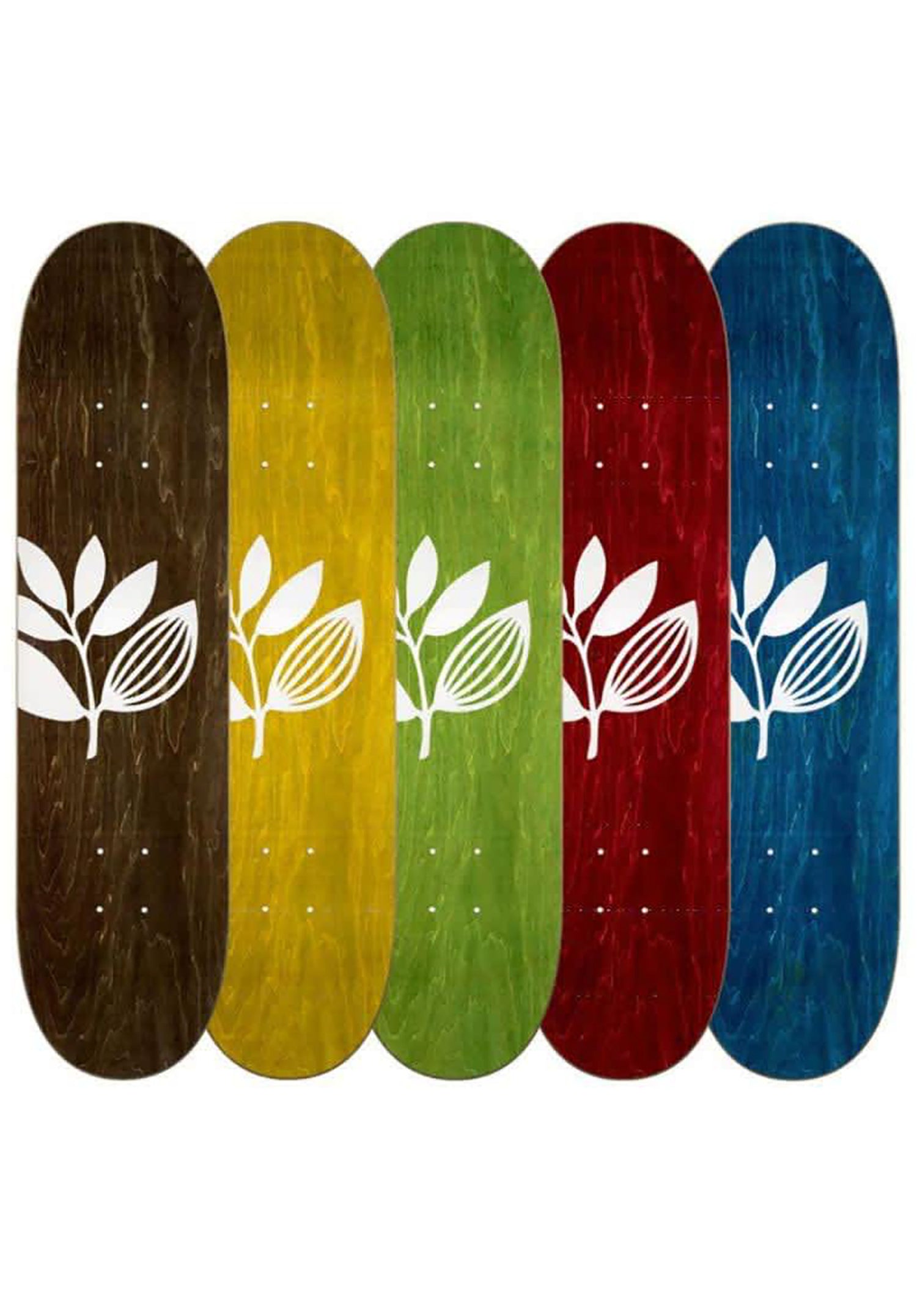 Big Plant Team Wood assorted Vorderansicht Zoom Image