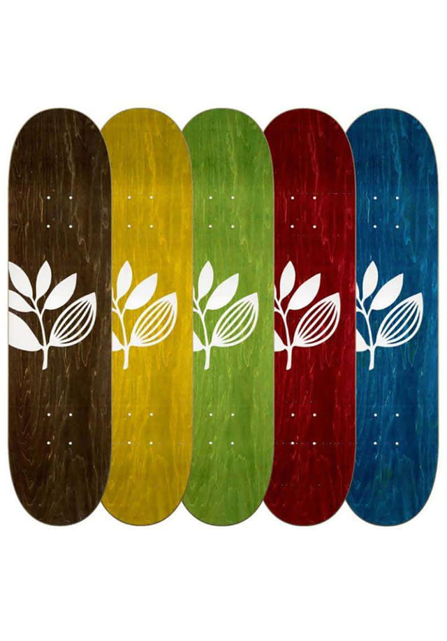 Big Plant Team Wood assorted Vorderansicht
