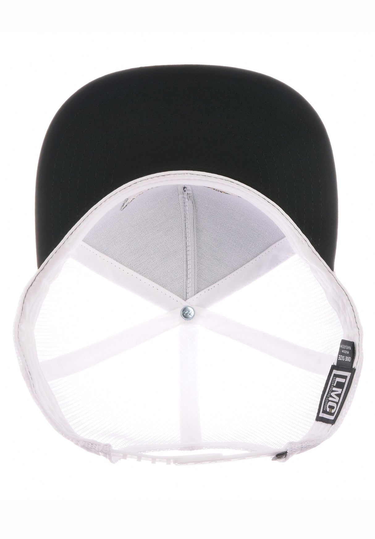 Glory black-white Oberansicht