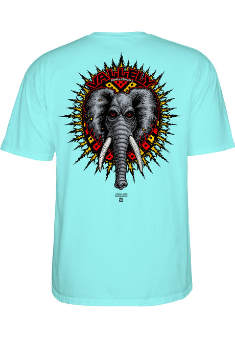 Vallely Elephant celedon Closeup1